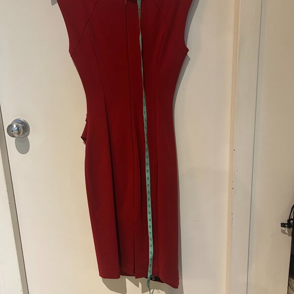Red Sleeveless Sheath Dress - Picture 4 of 4